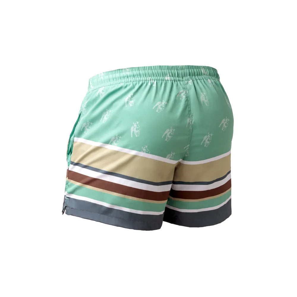 Men's Swim Shorts Turquoise Stripe image 1